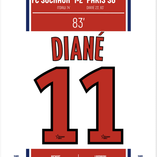 Amara Diané : But du Maintien contre Sochaux – Ligue 1 2008 - PSG