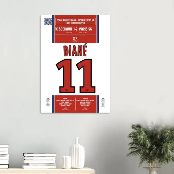 Amara Diané 2008 : But du Maintien contre Sochaux - Legendary Goals