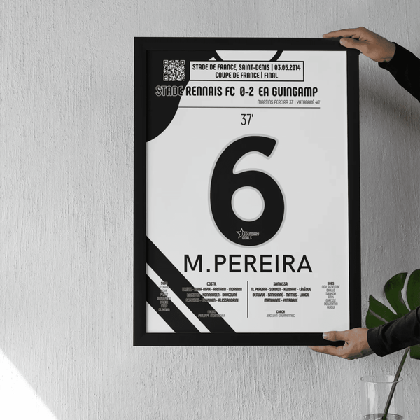 Poster du but de Jonathan Martins Pereira – Rennes vs Guingamp 2014 - Legendary Goals