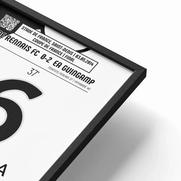 Poster du but de Jonathan Martins Pereira – Rennes vs Guingamp 2014 - Legendary Goals